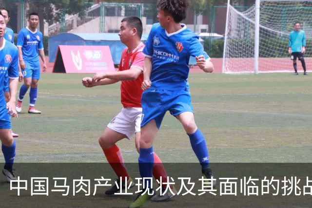 中国马肉产业现状及其面临的挑战