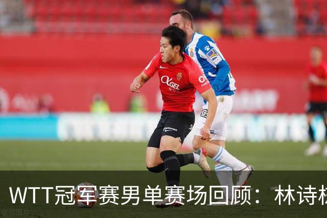 WTT冠军赛男单赛场回顾：林诗栋逆转晋级，卡尔伯格遗憾出局